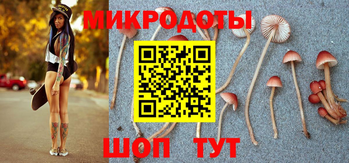 Галлюциногенные грибы GOLDEN TEACHER Новосибирск