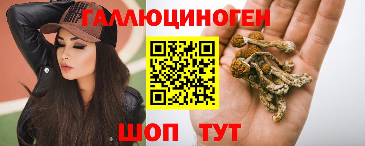 Новосибирск  Псилоцибиновые грибы Magic Shrooms  дарнет шоп  Вход с VPN 
